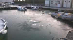 Mare ghiacciato a la Spezia
