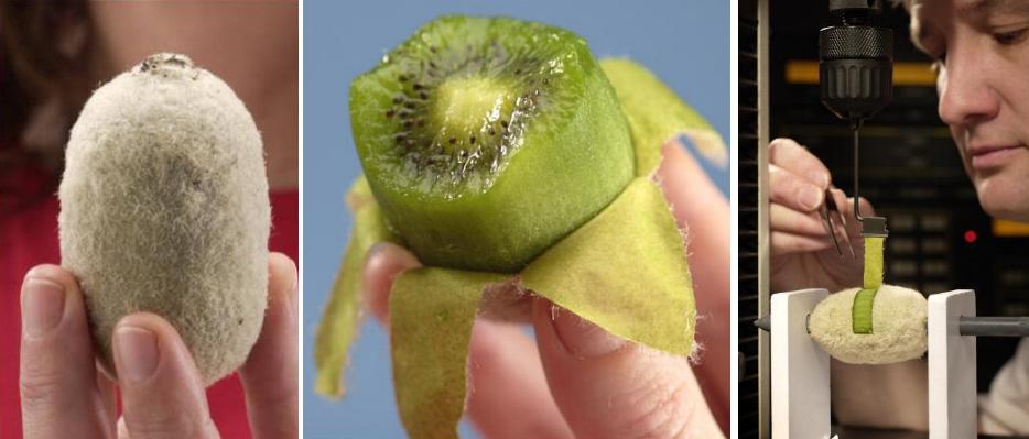 kiwi white