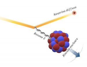 neutrini