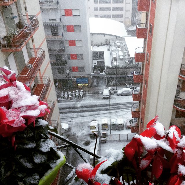 neve Napoli