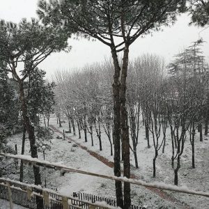 neve Napoli