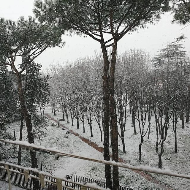 neve Napoli