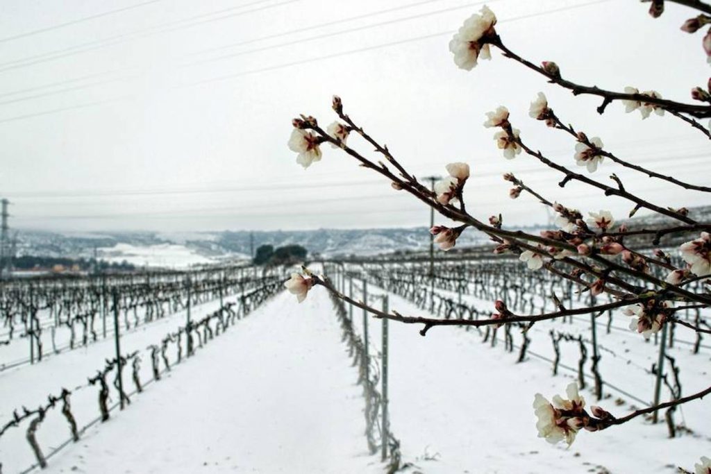 neve Spagna
