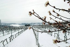 neve Spagna