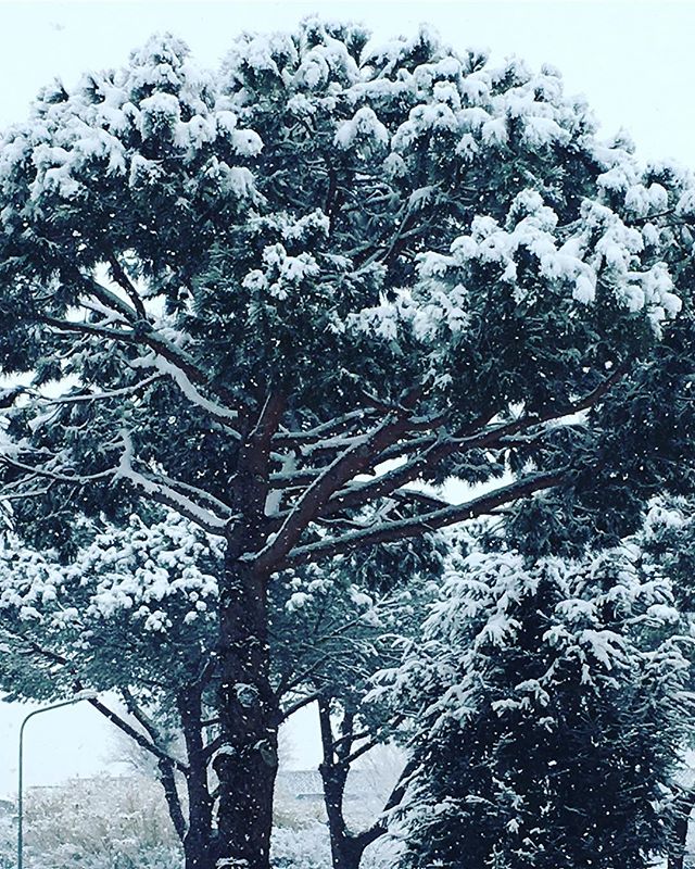 neve pozzuoli napoli