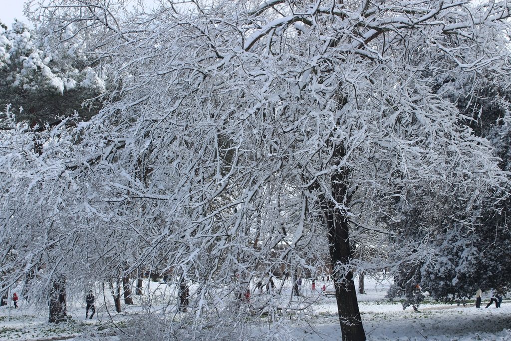neve roma tuscolana cinecittà parco degli acquedotti (21)