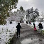 Il fascino della Neve a Roma: la Capitale diventa un grande “Paese dei Balocchi”, Parco degli Acquedotti preso d’assalto dai bambini [GALLERY]