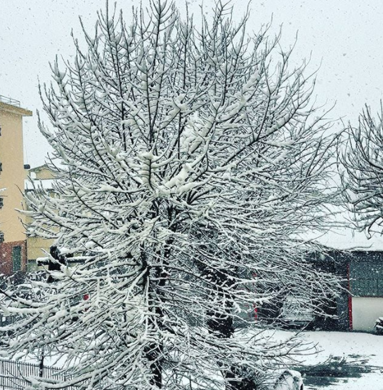 neve ventimiglia