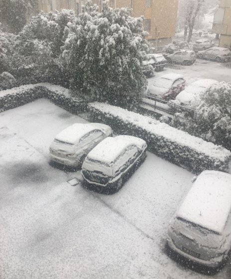 neve ventimiglia