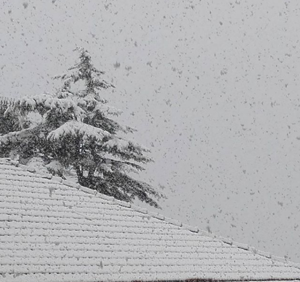 neve ventimiglia