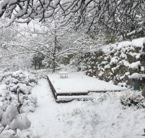 neve ventimiglia