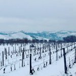 Maltempo Piemonte, ancora pioggia e neve: il Cuneese il più colpito