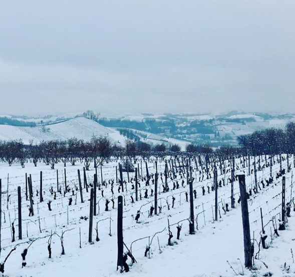 piemonte neve 1