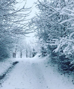 piemonte neve 1