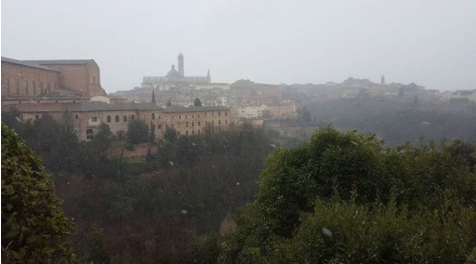siena nevica