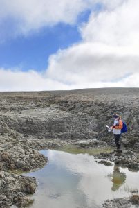 stagni Artico emissioni carbonio