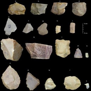 strumenti di pietra India Homo Sapiens