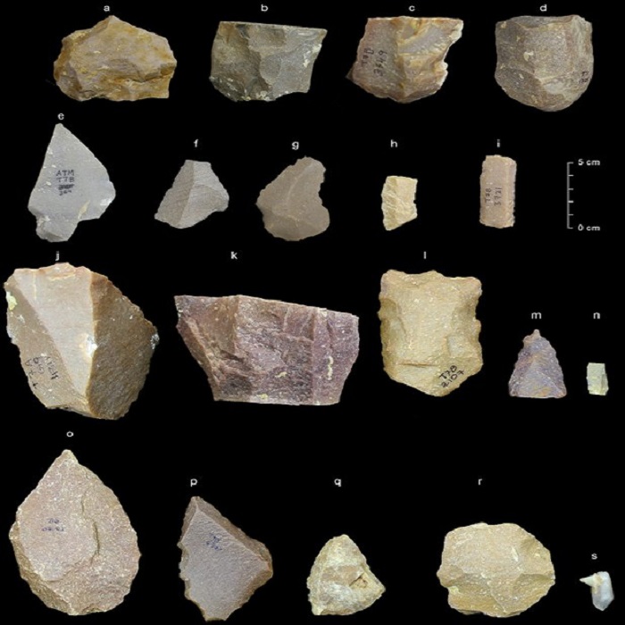 strumenti di pietra India Homo Sapiens