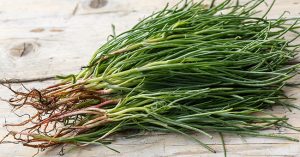 agretti barba di frate