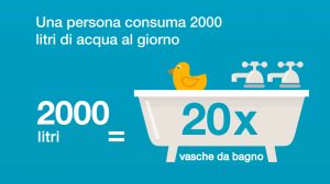 Acqua