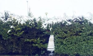 Campobasso