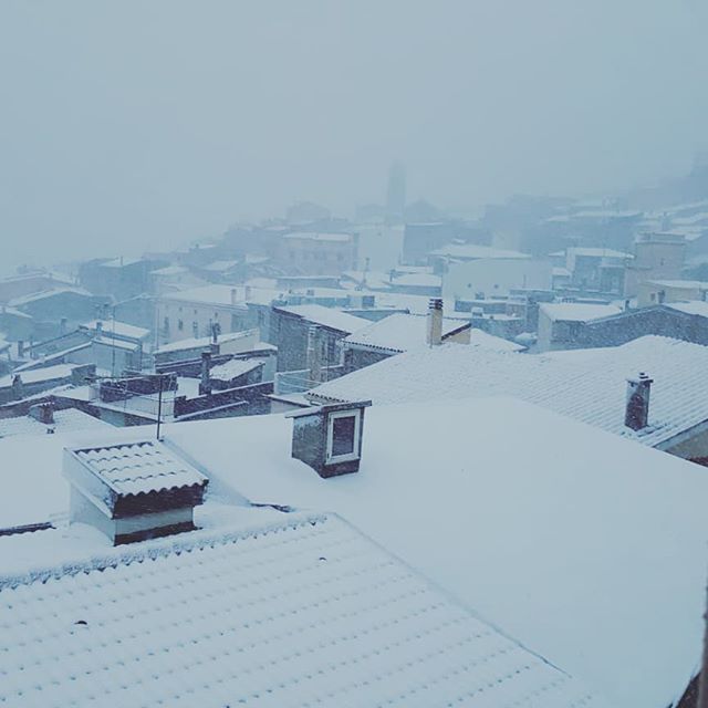Fonni