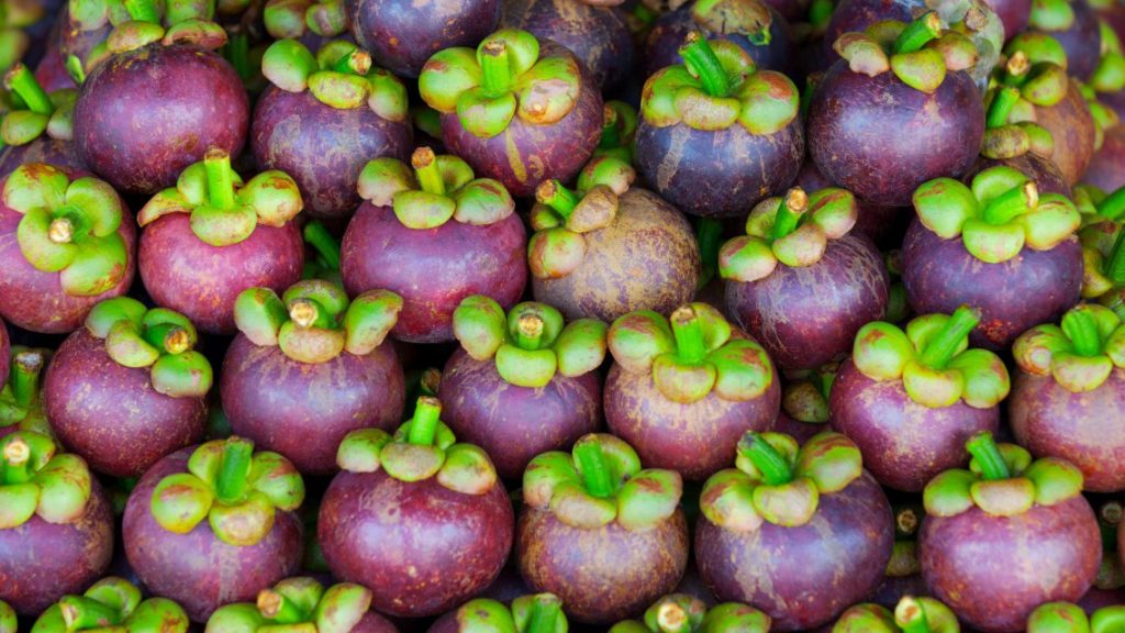 MANGOSTANO