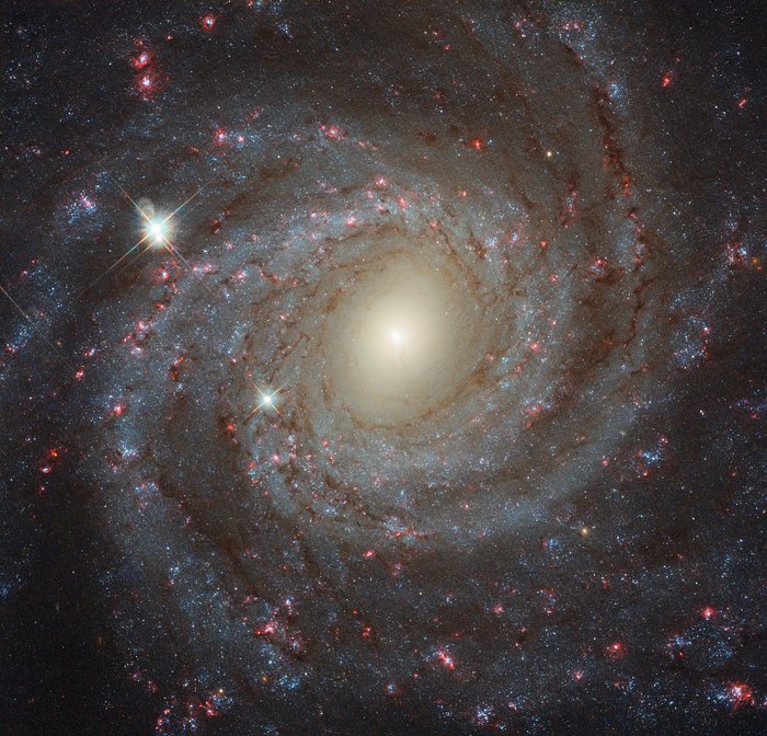 galassia NGC 3344 Hubble