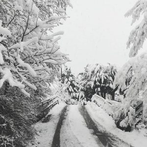 Neve Potenza