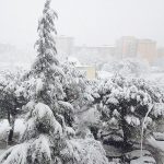 Neve Basilicata: scuole chiuse anche domani 23 marzo a Potenza