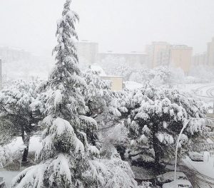 Neve Potenza