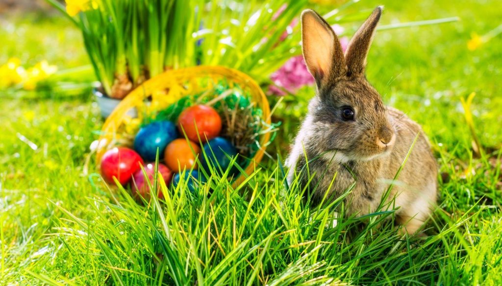 Quando è Pasqua 2024 e perché la data cambia ogni anno