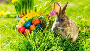 Quando è Pasqua 2024 e perché la data cambia ogni anno