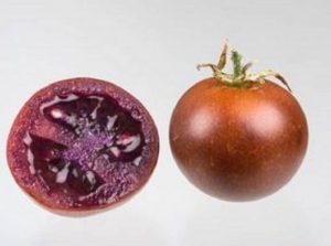 pomodoro bronzeo