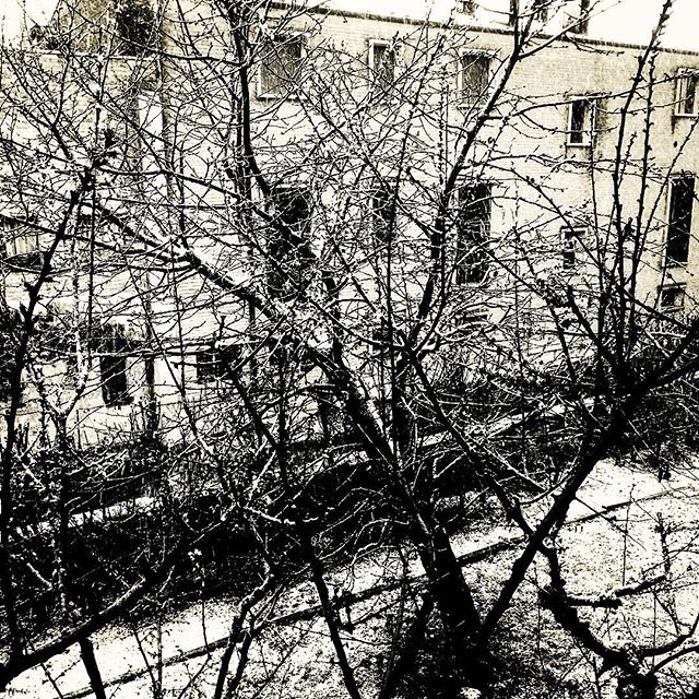 Portogruaro