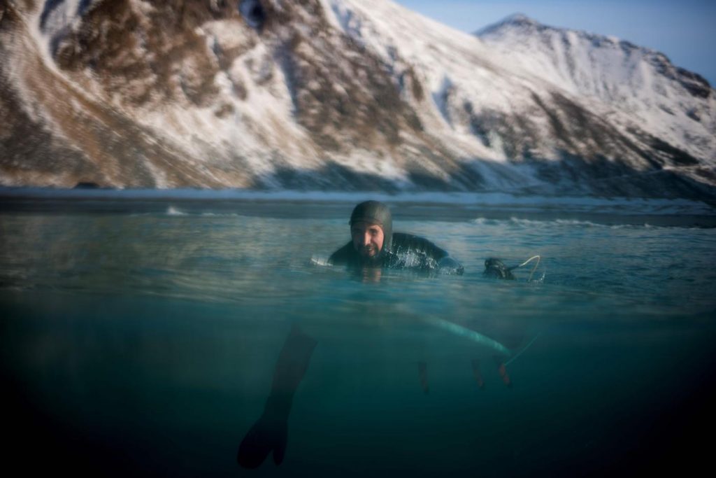 Norvegia surf Circolo Polare Artico