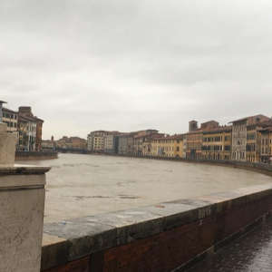 arno pisa