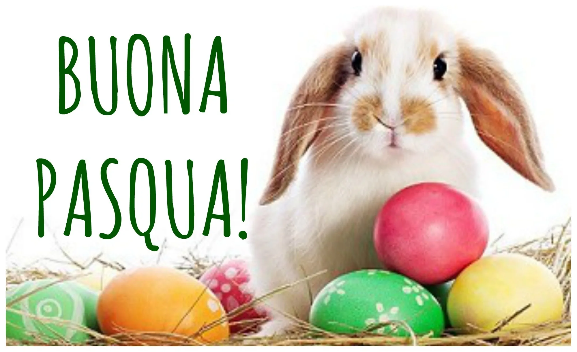 Auguri! Buona Pasqua 2024! Immagini nuove, frasi e video originali