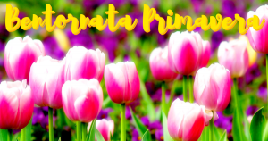 equinozio primavera 2018