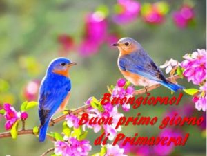 equinozio primavera 2018 buon inizio primo giorno