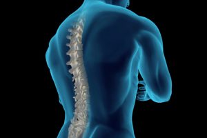 lesioni midollo spinale