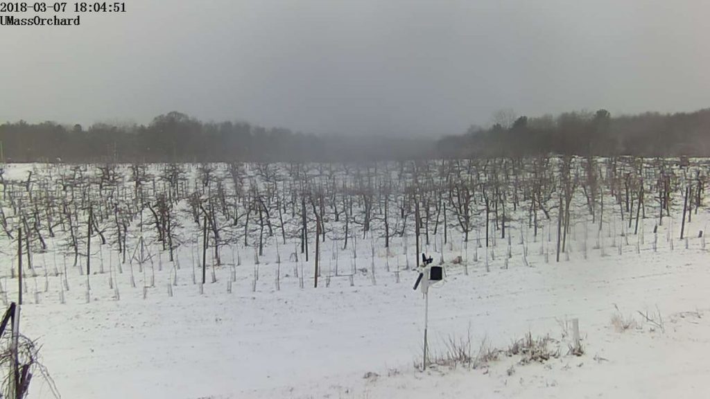 maltempo USA neve
