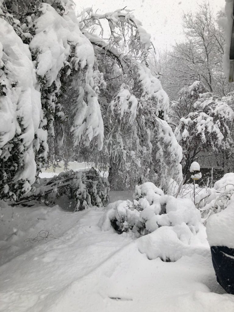 maltempo USA neve