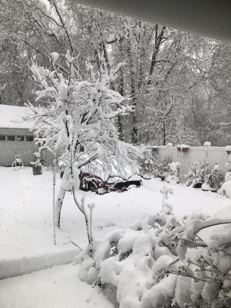maltempo USA neve