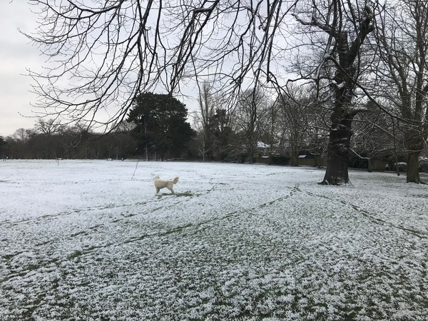 neve Londra
