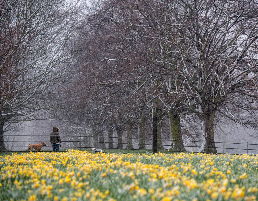 neve Londra