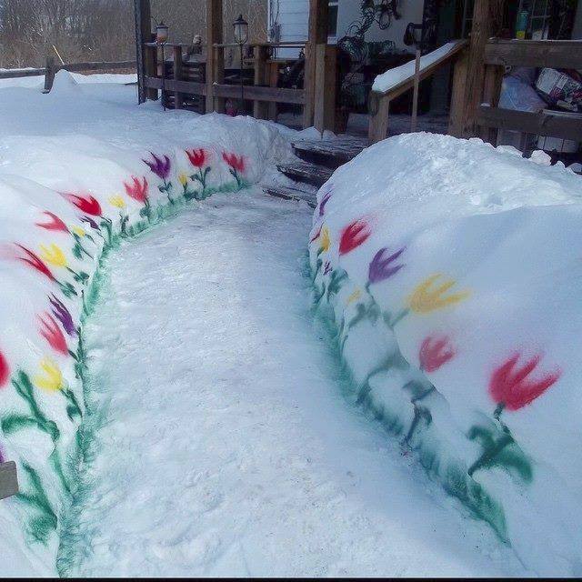 maltempo USA neve