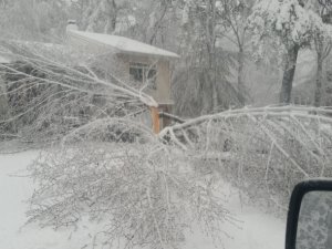 neve nord-est USA