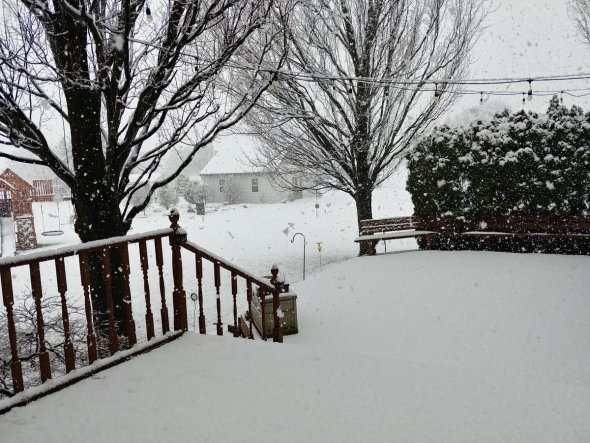 neve nord-est USA