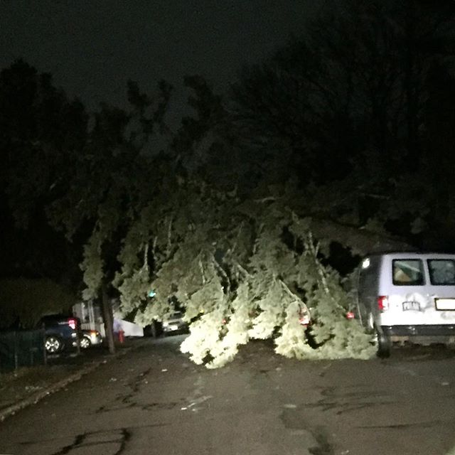 noreaster maltempo usa